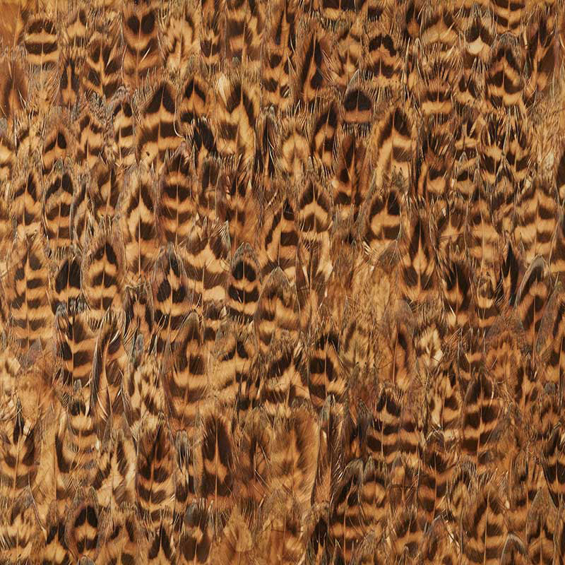 Close-up of Schumacher Umber wallcovering panel featuring hand-gathered natural feathers in rich brown and gold tones