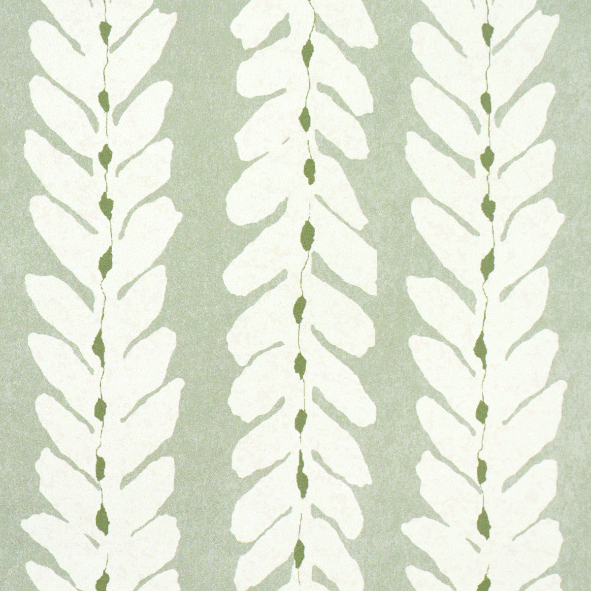 Woodperry Celadon by Veere Grenney Modern Botanical Stripe Wallpaper – Schumacher 5008793