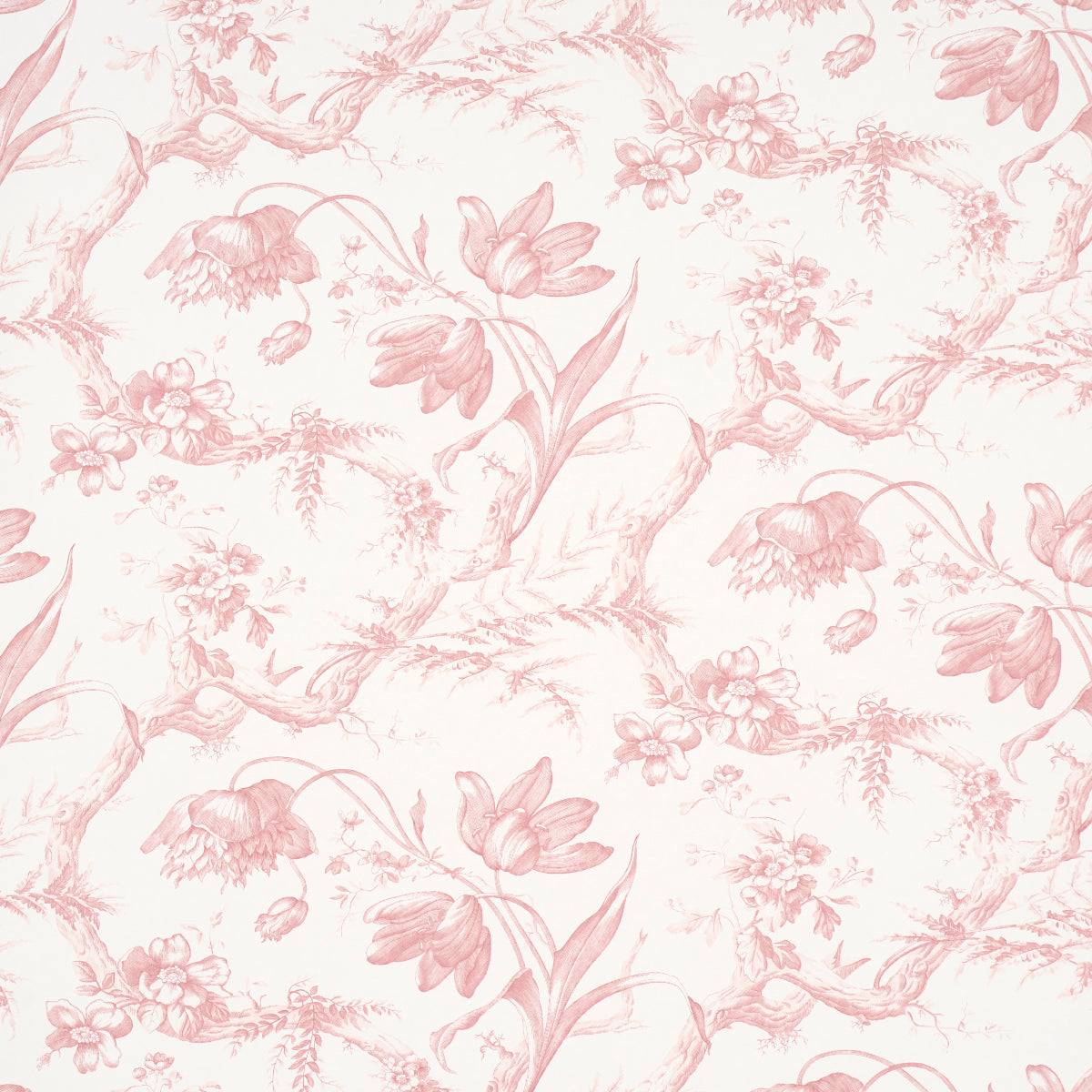 Toile de Fleurs pink floral ogee wallpaper by Schumacher, featuring detailed twisting branches and flowers in a classic toile style.