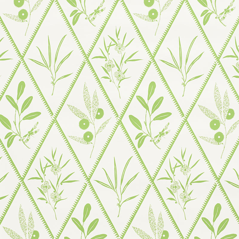 ENDIMIONE wallpaper in Leaf by Schumacher, featuring stylized botanical trellis motifs in green on white.