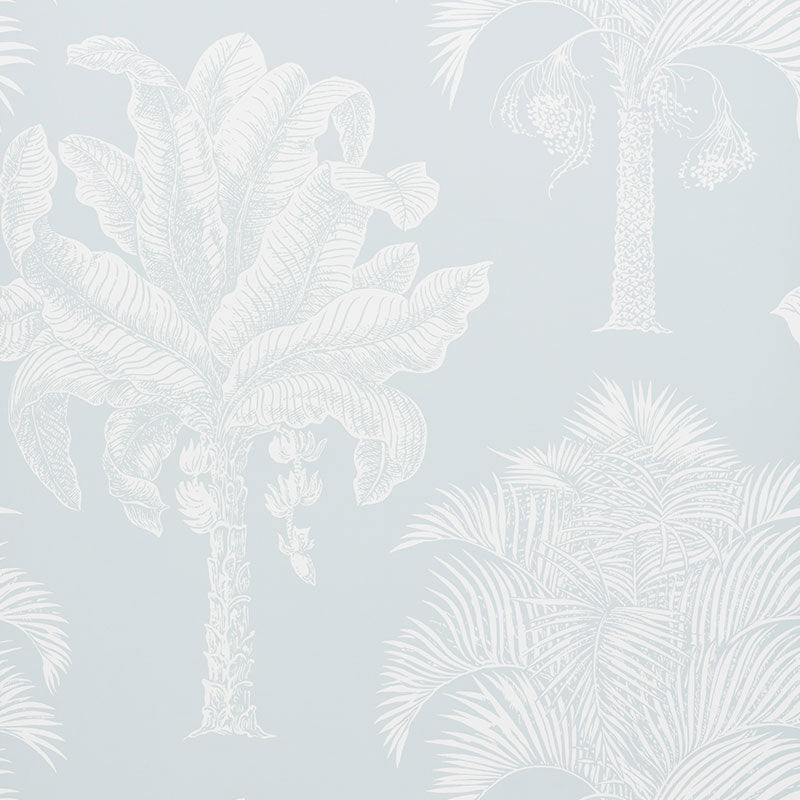 Grand Palms wallpaper in Mineral by Schumacher featuring a detailed palm tree pattern in a soft, elegant colorway.