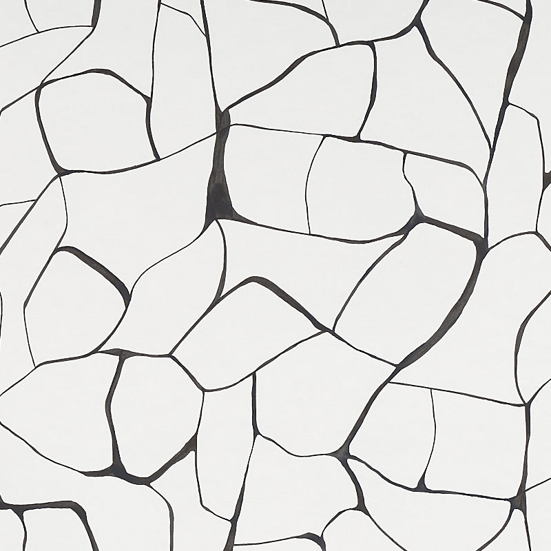 FILIGREE by Porter Teleo for Schumacher. Abstract black and white modern wallpaper with painterly, organic lines.