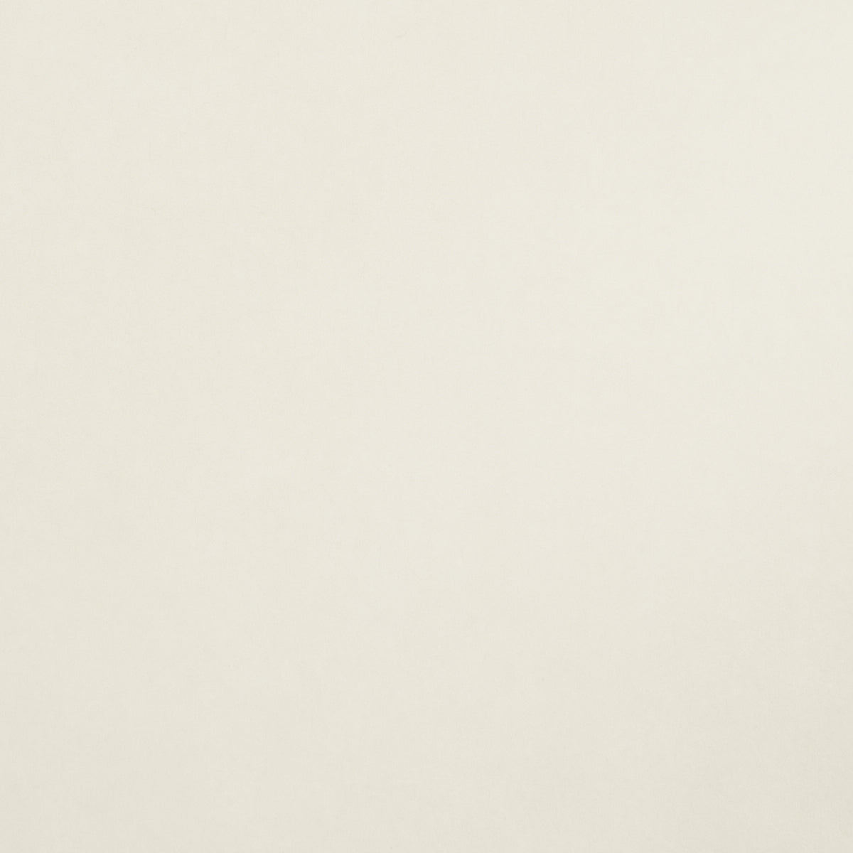 Villa Texture by Miles Redd in White & Ivory, a subtle solid wallcovering with a textural effect by Schumacher.