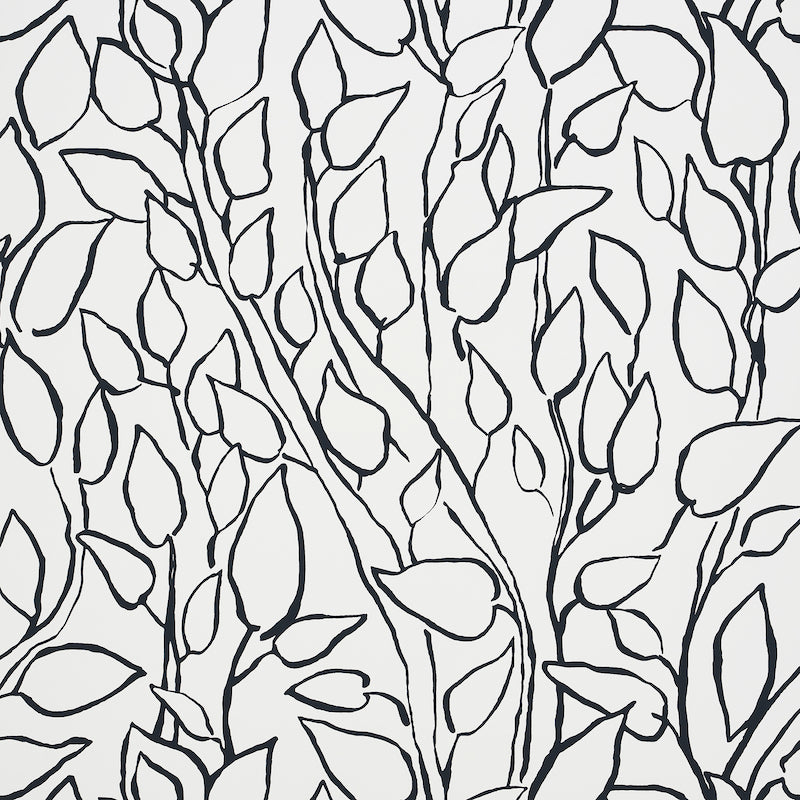 Solandra Vine wallpaper in black and white, featuring a loose, leafy climbing botanical pattern by Schumacher.