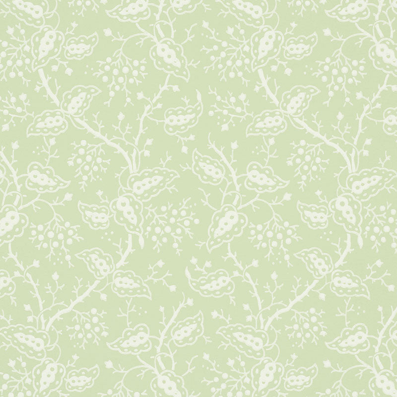 Darby Leaf wallpaper by Schumacher, a surface-printed climbing-vine botanical pattern in light green and white.