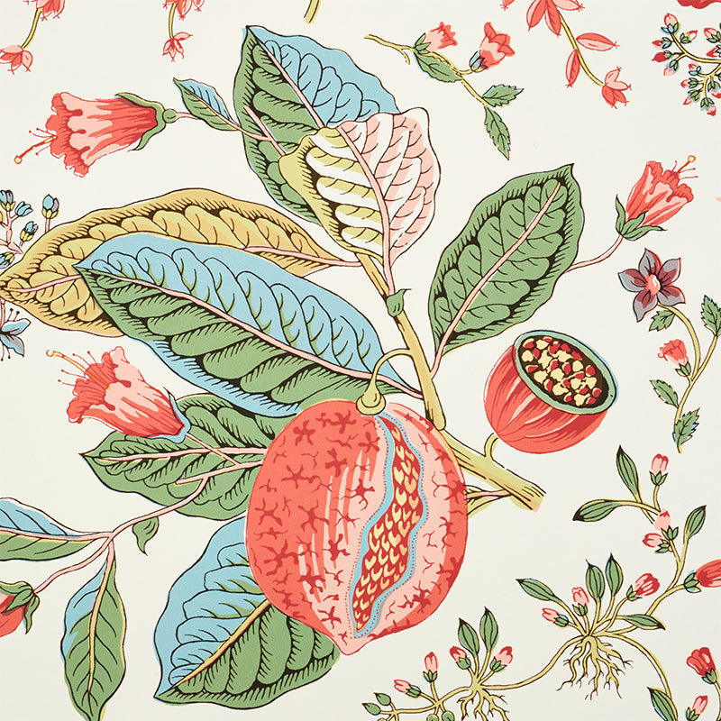 POMEGRANATE BOTANICAL Document by Schumacher Botanical Wallpaper – Schumacher 5010441