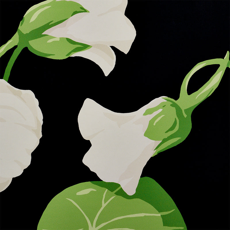 Nasturtium Noir Floral Wallpaper by Schumacher – Signature Schumacher Collection 5010470