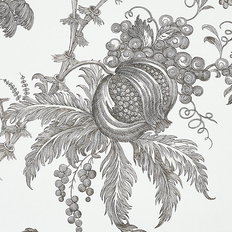 San Cristobal Toile Black by Schumacher 18th-Century Botanical Wallpaper – Schumacher 5010622
