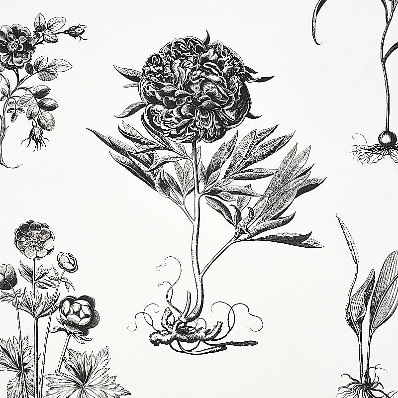 Cabot Botanical Large Ivory by Schumacher Botanical Wallpaper – Schumacher 5010640