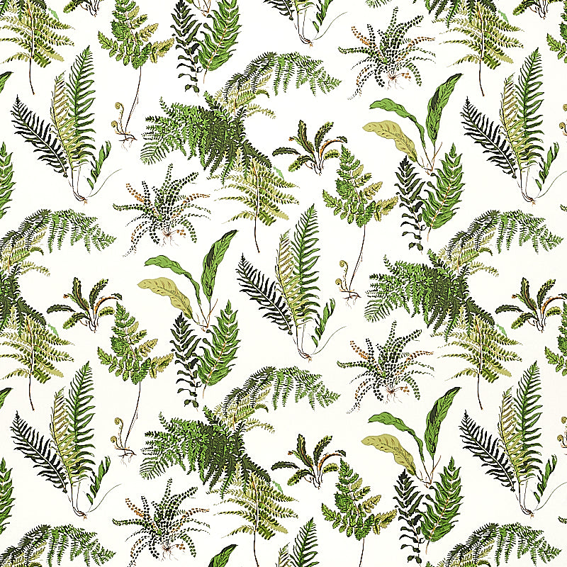 LES FOUGERES wallpaper by Schumacher featuring a classic botanical fern pattern in green and document colorway.
