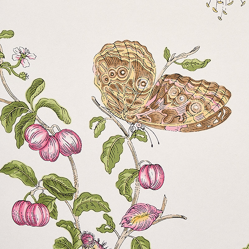 Baudin Butterfly Blush by Schumacher Botanical Butterfly Wallpaper – Schumacher 5010690