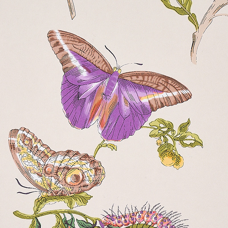 Baudin Butterfly Purple by Schumacher Signature Collection Butterfly Wallpaper – Schumacher 5010692