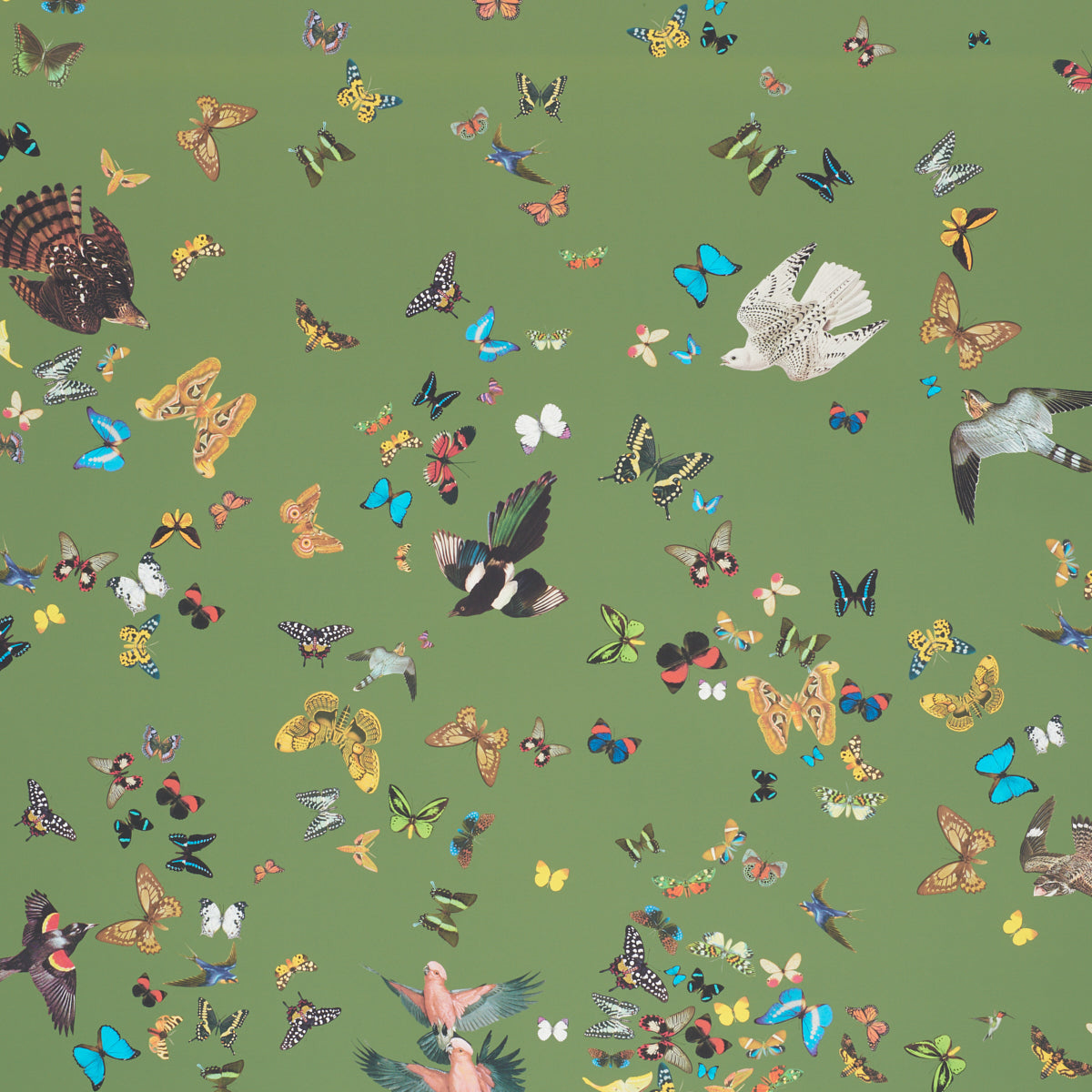 Queen's Flight Panel Set Green by Schumacher Butterfly & Bird Wall Mural – Schumacher 5010860