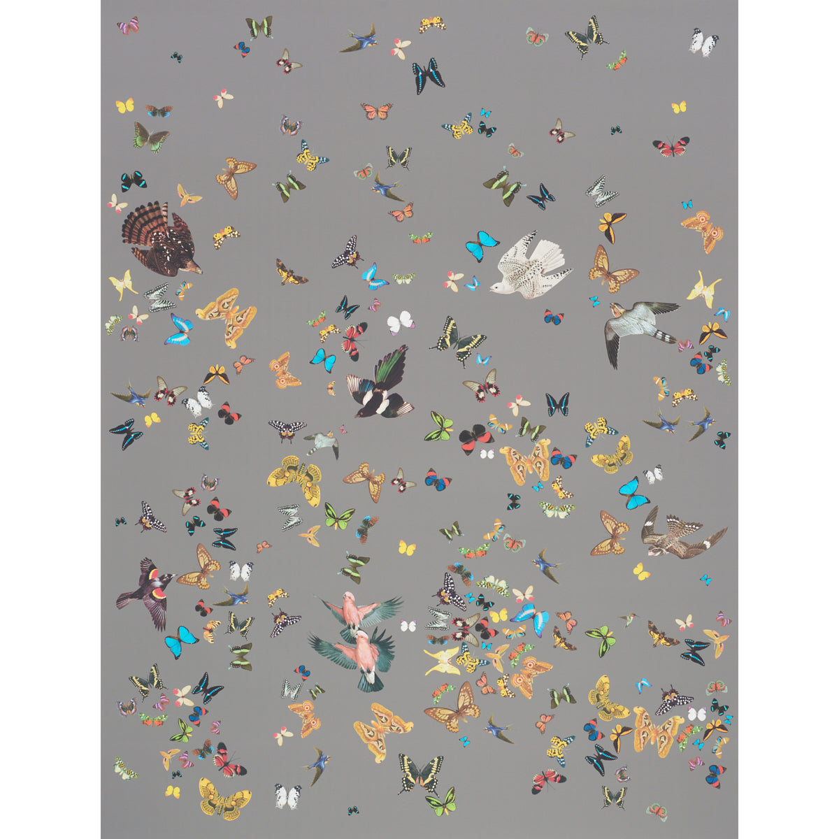 Queen's Flight Panel Set by Peg Norriss | Schumacher Butterfly & Bird ...