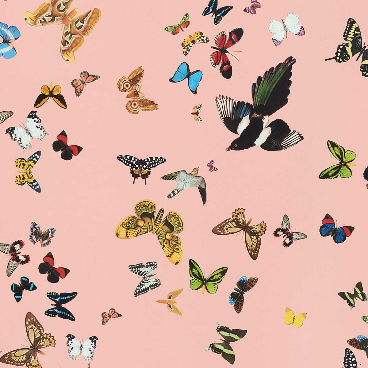 Queen's Flight Panel Set Pink by Peg Norriss Birds & Butterflies Wallpaper – Schumacher 5010864