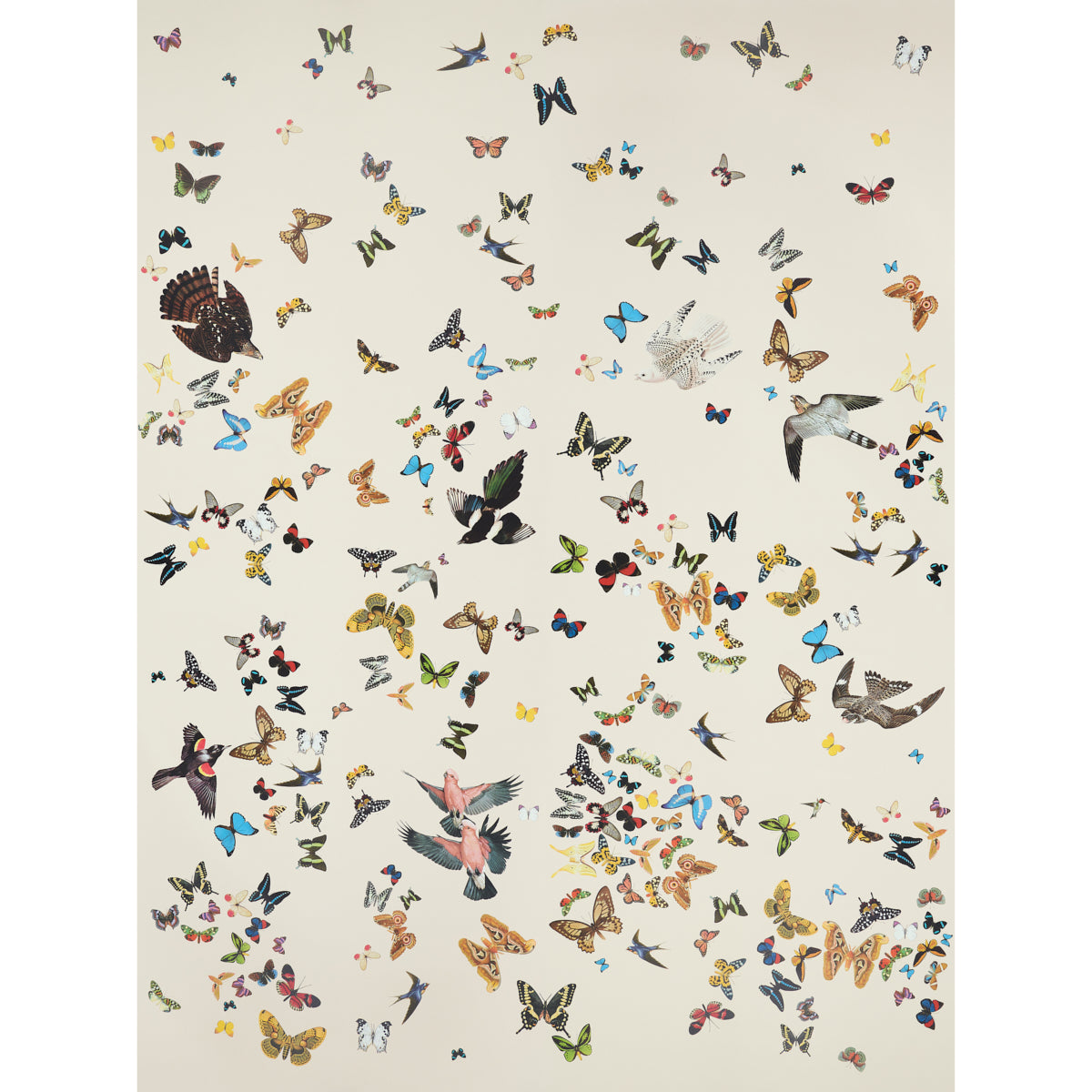 Queen's Flight Panel Set wallpaper by Peg Norriss for Schumacher, featuring a sand background with colorful birds and butterflies in flight.