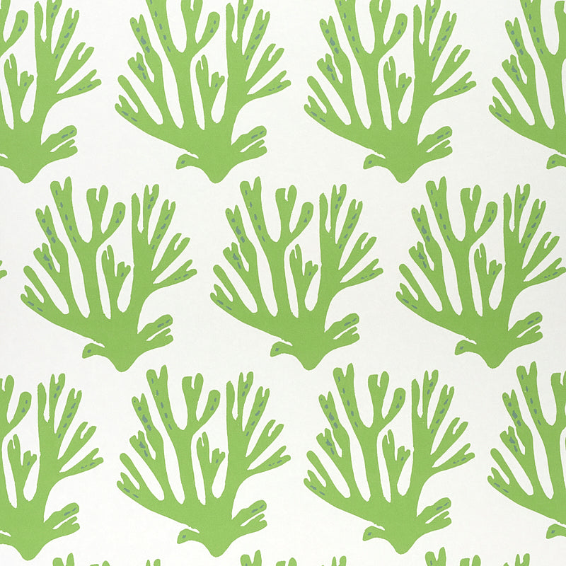 Green coral branch pattern wallpaper by Molly Mahon for Schumacher, shown in a styled interior and close-up views.