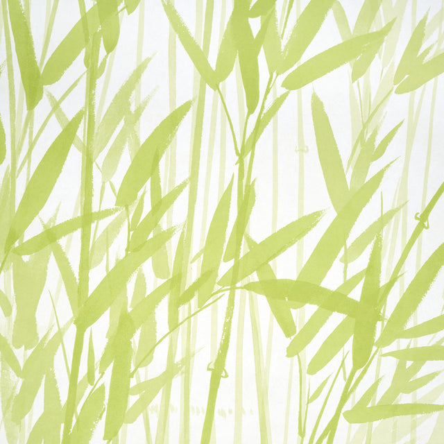 Kanji Panel Set Green Bamboo Wallcovering – Schumacher 5011790