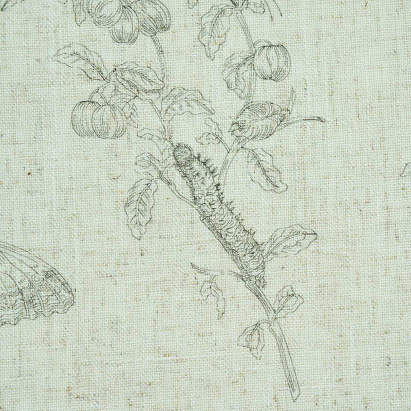 Baudin Butterfly Linen Black by Schumacher Botanical Butterfly Fabric – Schumacher 5011830