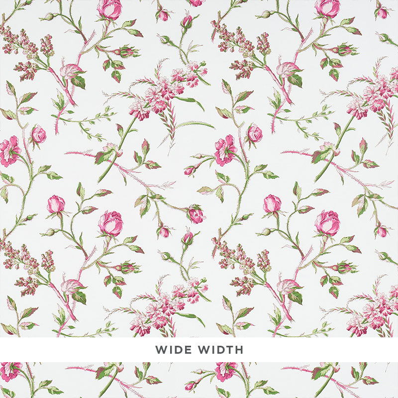 Magenta floral wallpaper with scattered roses and green leaves on a white background, Schumacher BELUZE