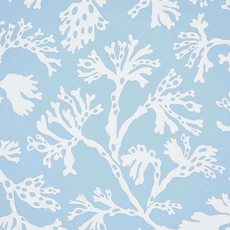 ANTHOZA Sky by Schumacher Botanical Wallpaper – Schumacher 5012130
