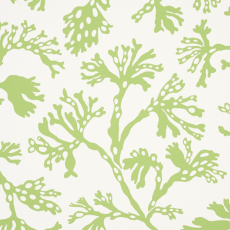 ANTHOZA Green Botanical Wallpaper by Schumacher – 5012131