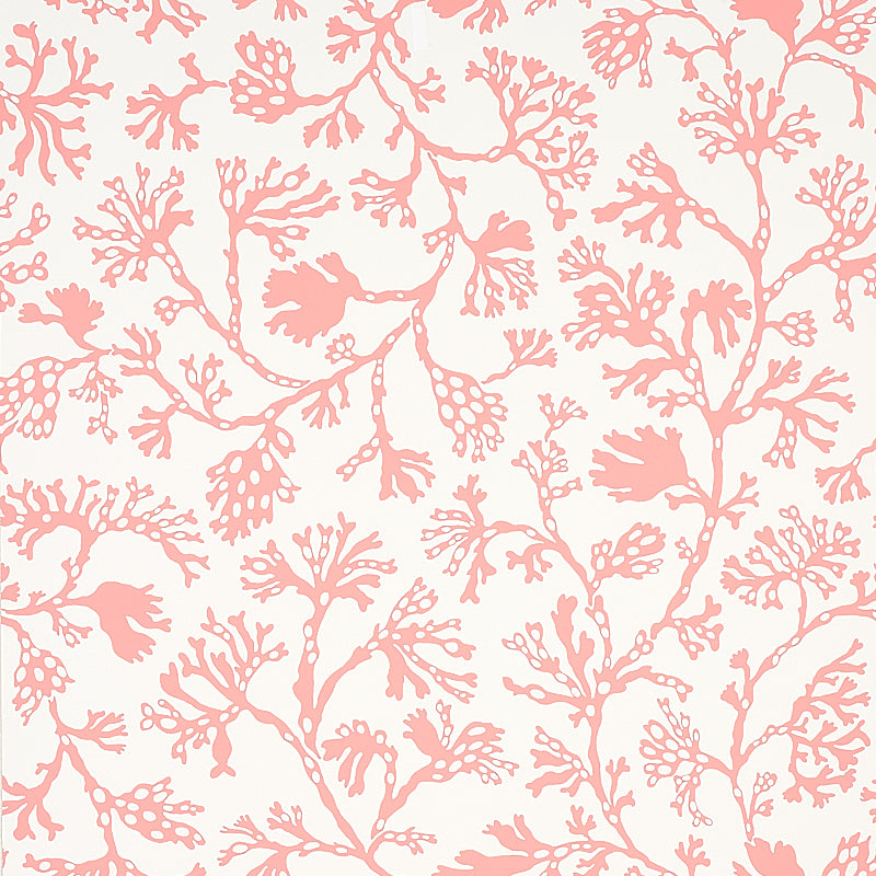 ANTHOZA wallpaper in coral by Schumacher, featuring a botanical coral reef-inspired pattern in pink on a white background.