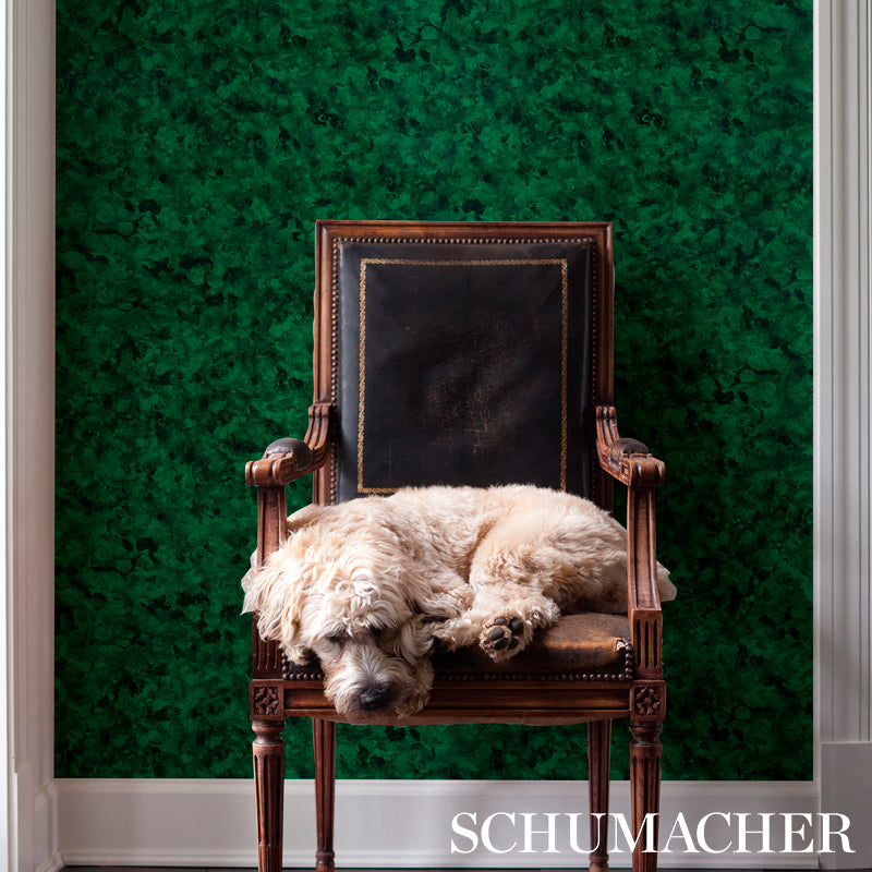 Xanadu Malachite by Cristina Buckley Green Tortoise-Shell Wallpaper – Schumacher 5012600