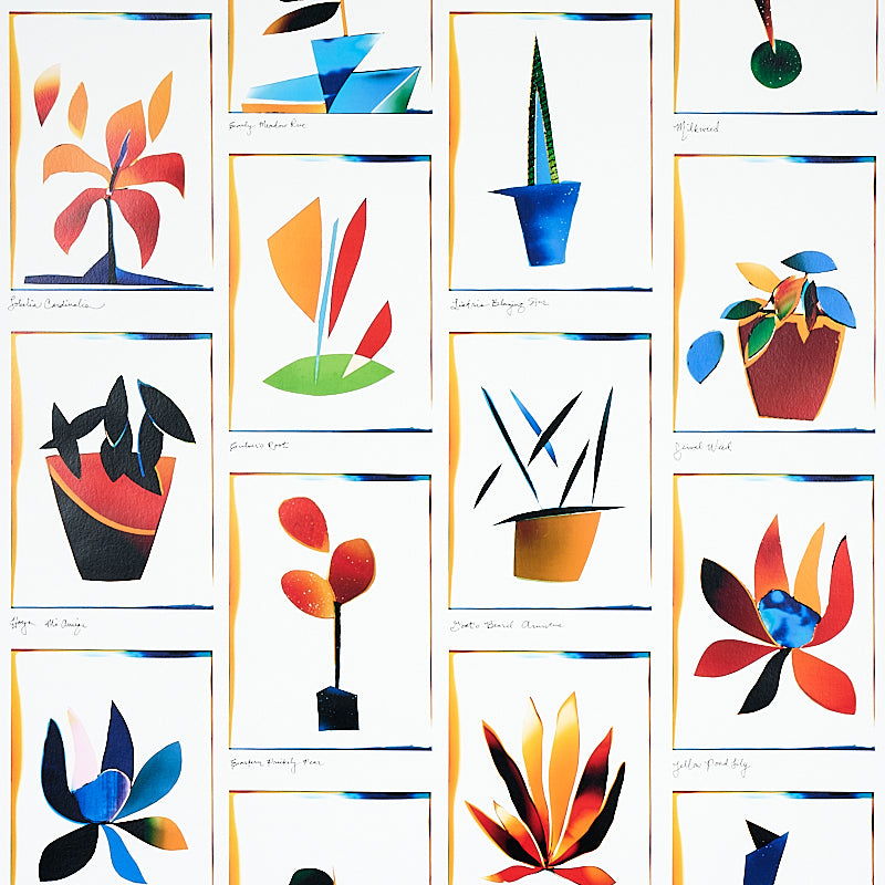 Botanicals Spectrum Multi wallpaper by Peg Norriss for Schumacher, featuring colorful abstract botanical illustrations in a collage style.
