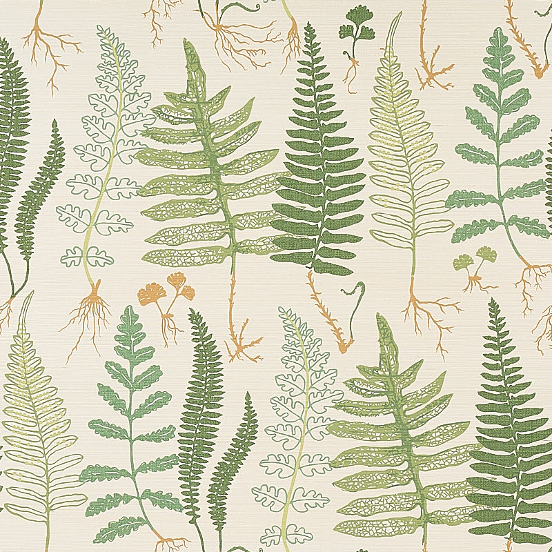 Halcott Sisal wallpaper in Forest colorway, featuring hand-drawn green ferns on a natural sisal ground, by Schumacher.