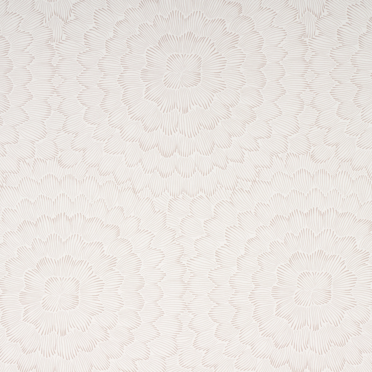 Feather Bloom wallpaper in soft neutral by Celerie Kemble for Schumacher, featuring a radiating overscale blossom pattern.