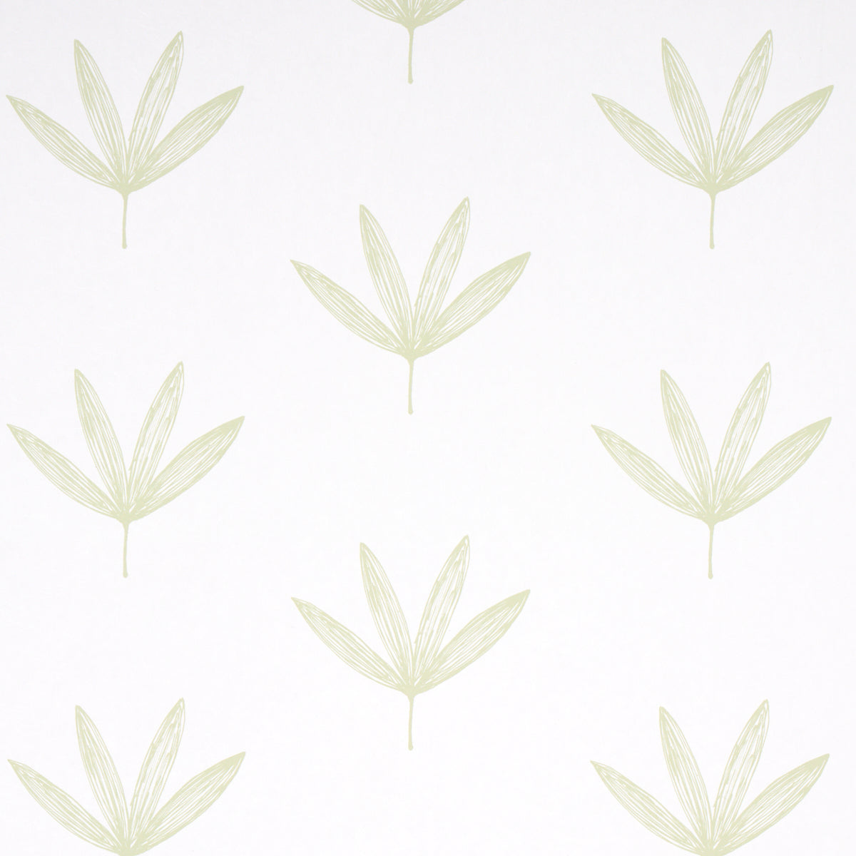 Rue green leaf line drawing wallpaper by Schumacher, modern botanical wallcovering in a soft green colorway