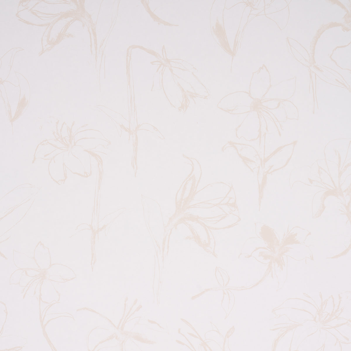 Close Your Eyes and Remember wallpaper in light neutral by Hera Ford for Schumacher, featuring a loose botanical floral pattern.