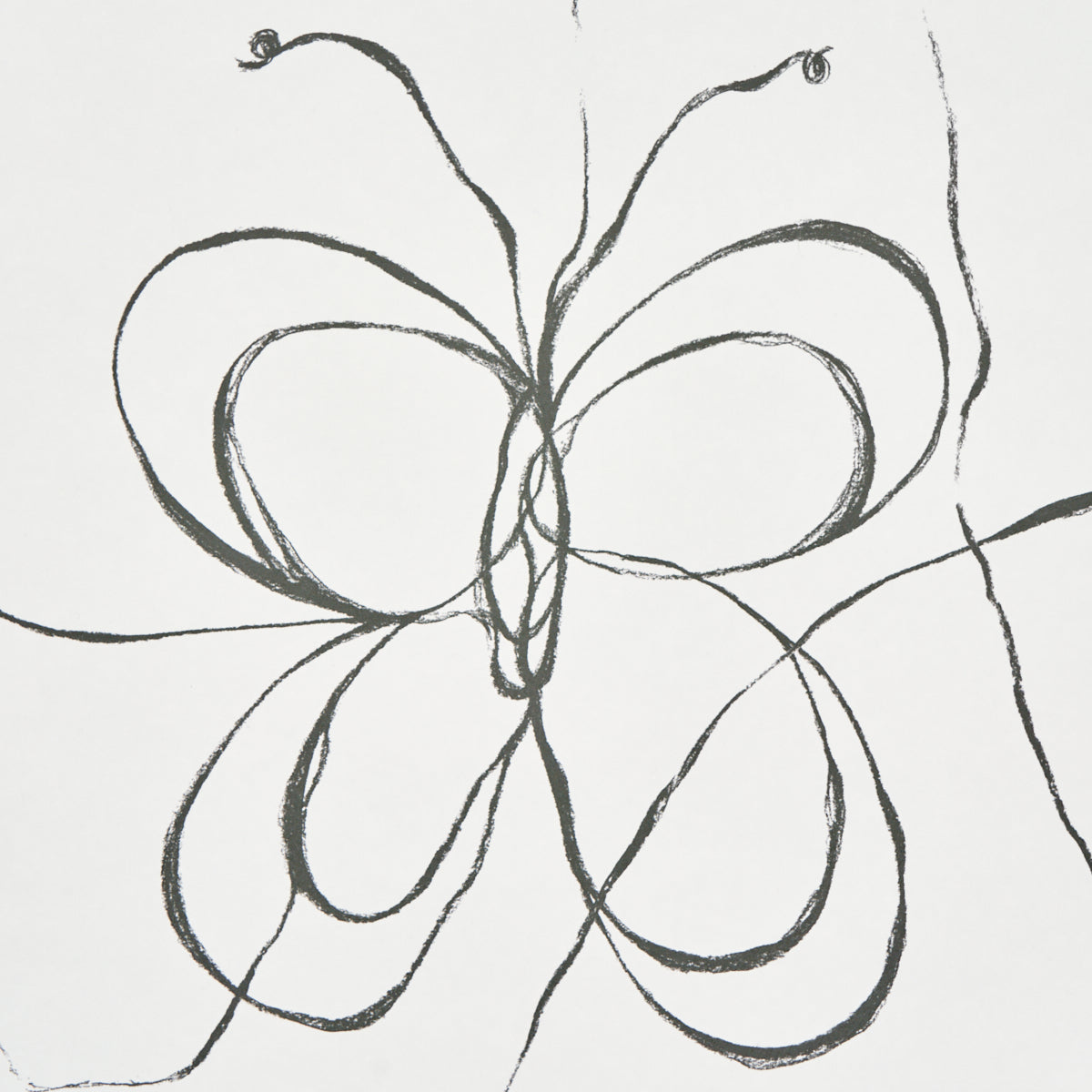 Come Back as a Flower Soft Black by Hera Ford Floral Wallpaper – Schumacher 5014090