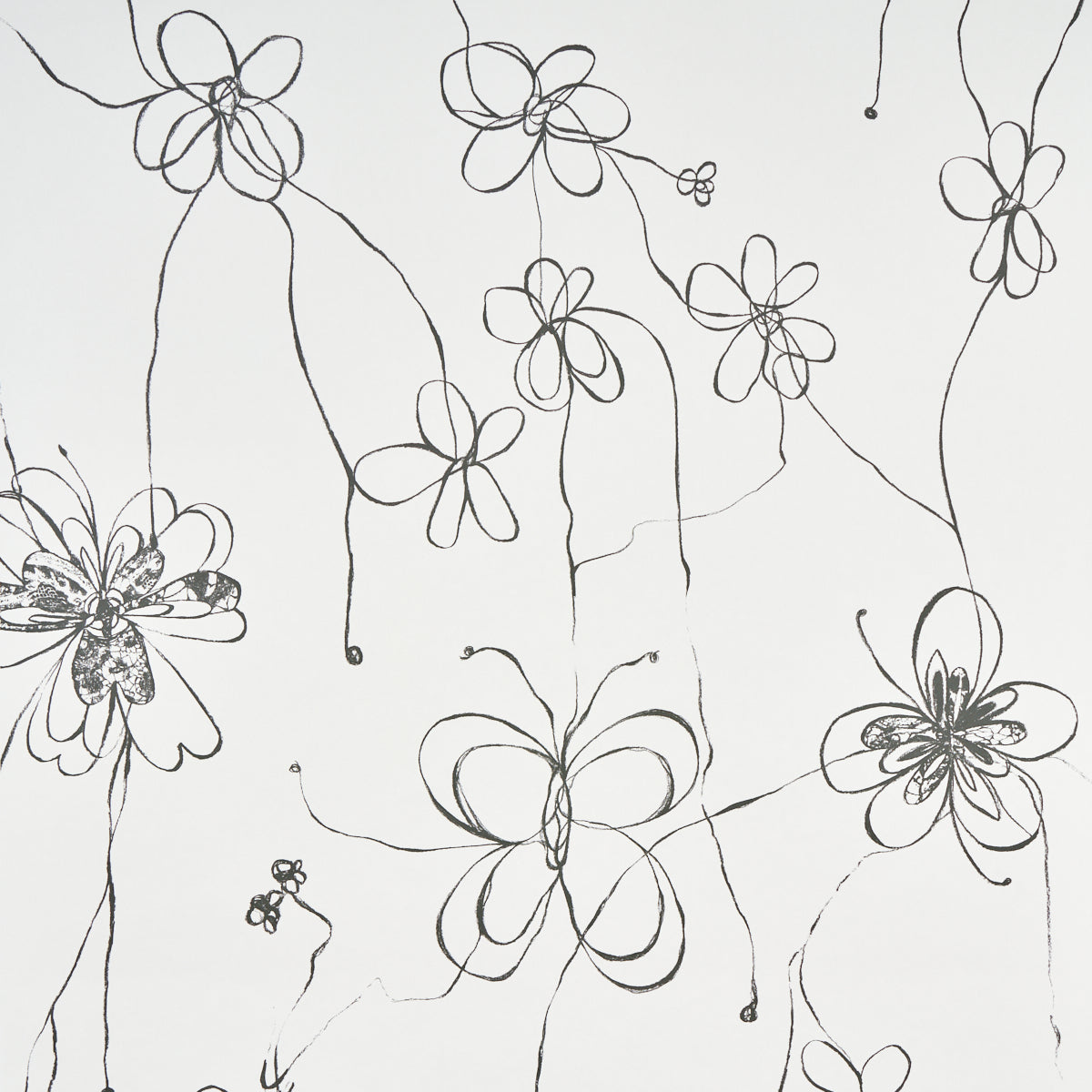 Come Back as a Flower wallpaper in soft black by Hera Ford for Schumacher, featuring hand-drawn floral line art on a light background.