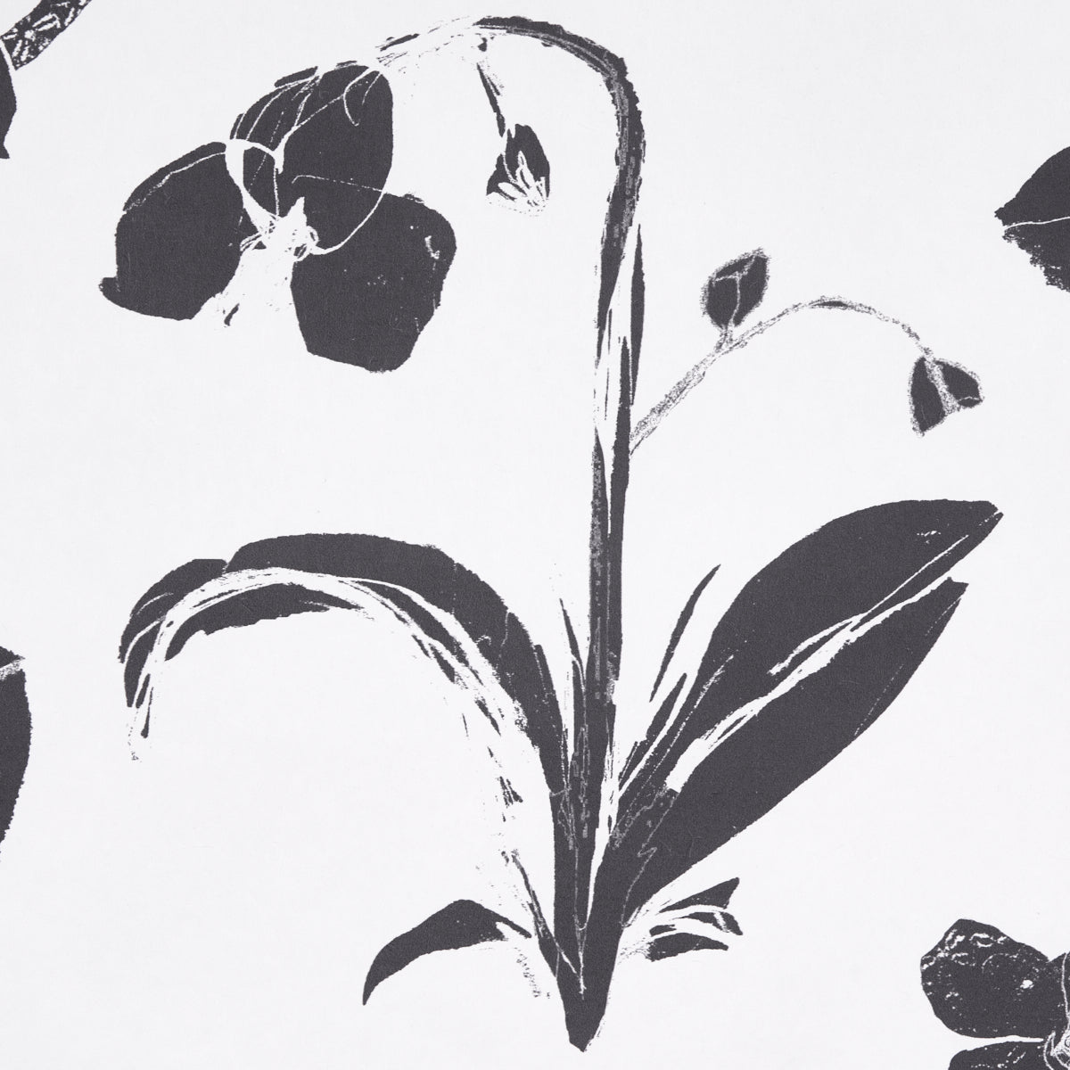 Orchids Have Dreams Soft Black by Hera Ford Painterly Floral Wallpaper – Schumacher 5014100