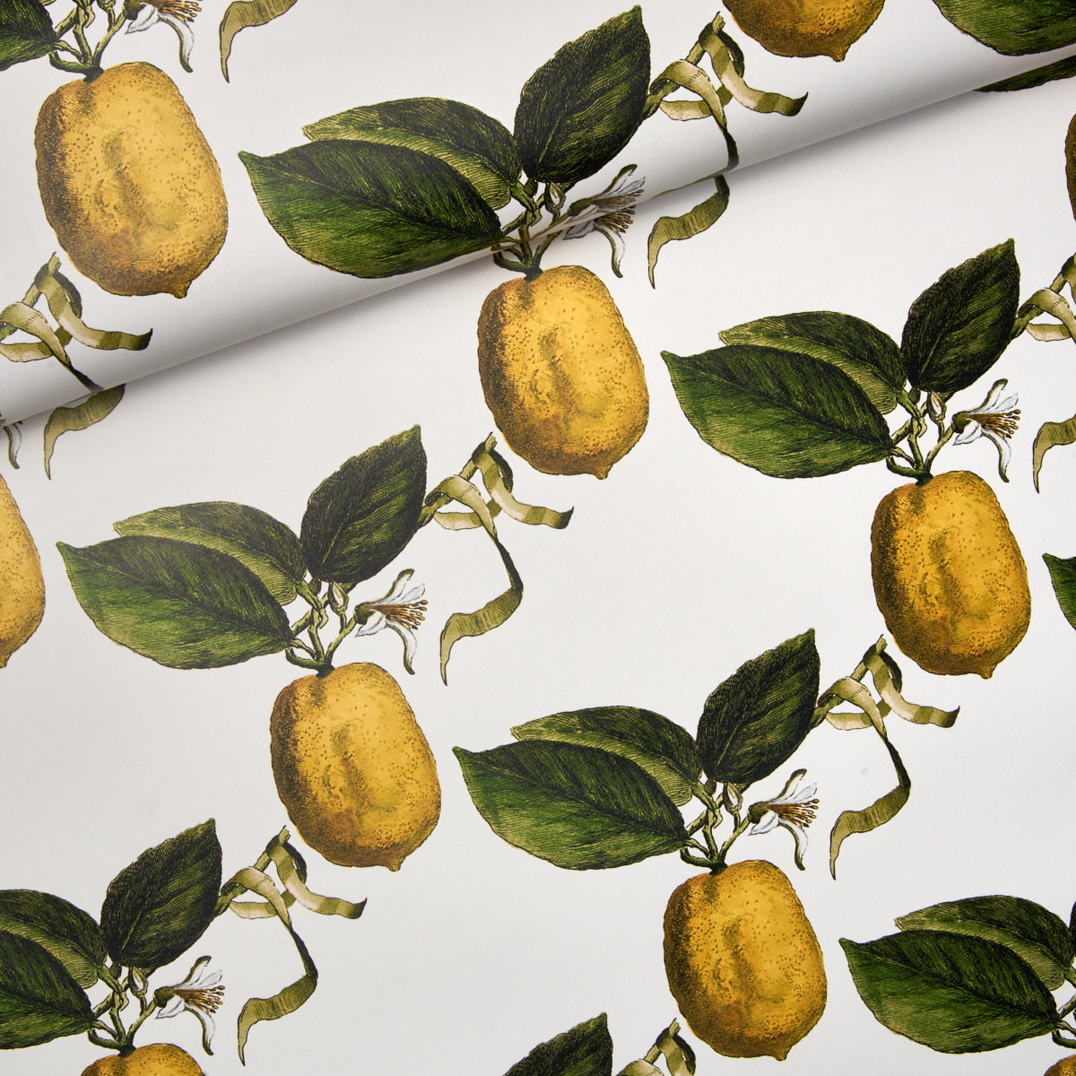 Le Citron Ivory by Johnson Hartig Botanical Lemon Wallpaper – Schumacher 5014280
