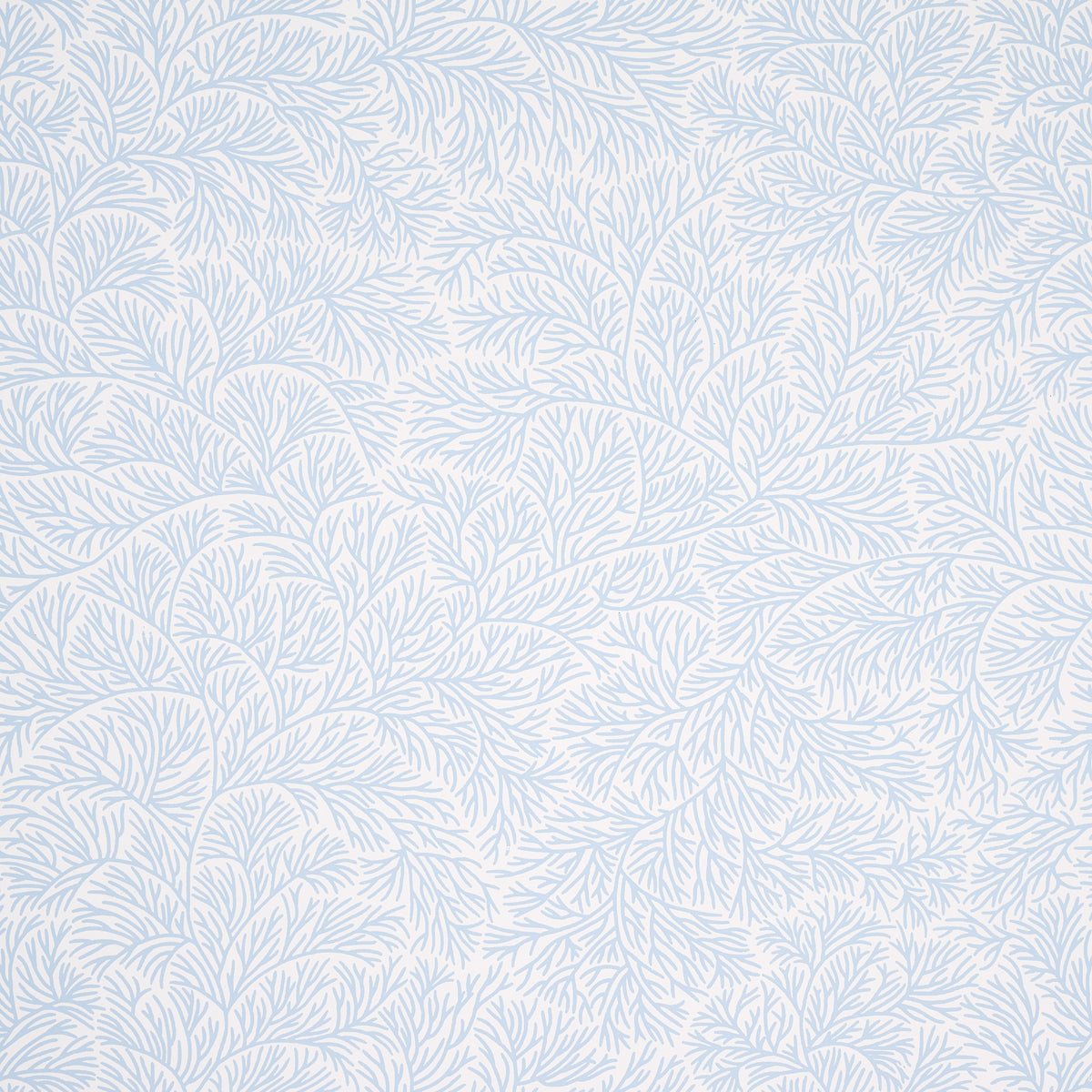 Bougainvillea China Blue wallpaper by Schumacher, featuring a delicate botanical pattern in soft blue tones.