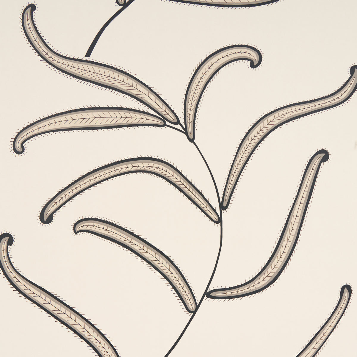 Caterpillar Leaf wallpaper in black and cream by Neisha Crosland for Schumacher, featuring whimsical botanical leaves inspired by antique Indian crewelwork.