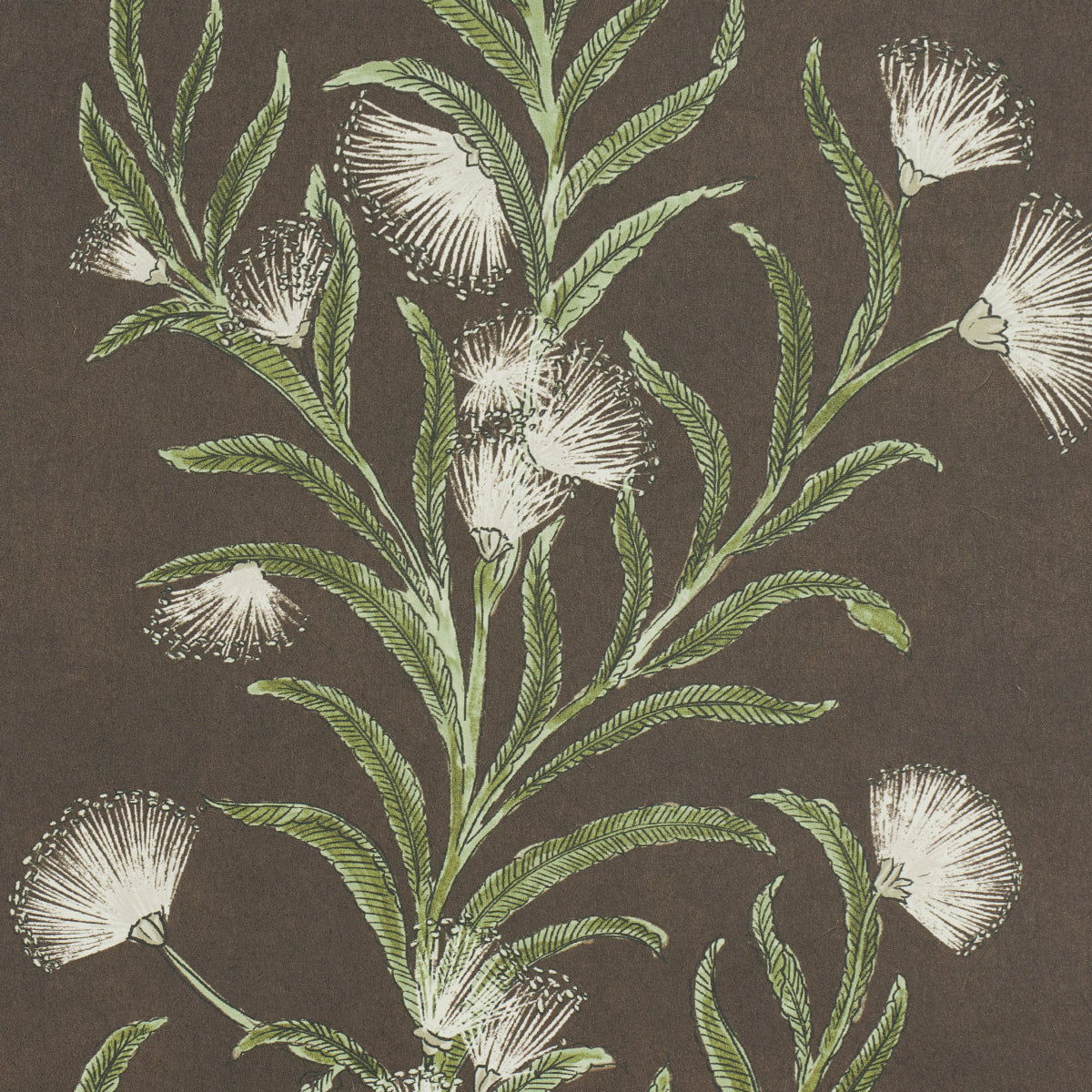 Tasmanian Mimosa Brown & Green by Celerie Kemble Botanical Stripe Wallpaper – Schumacher 5015361