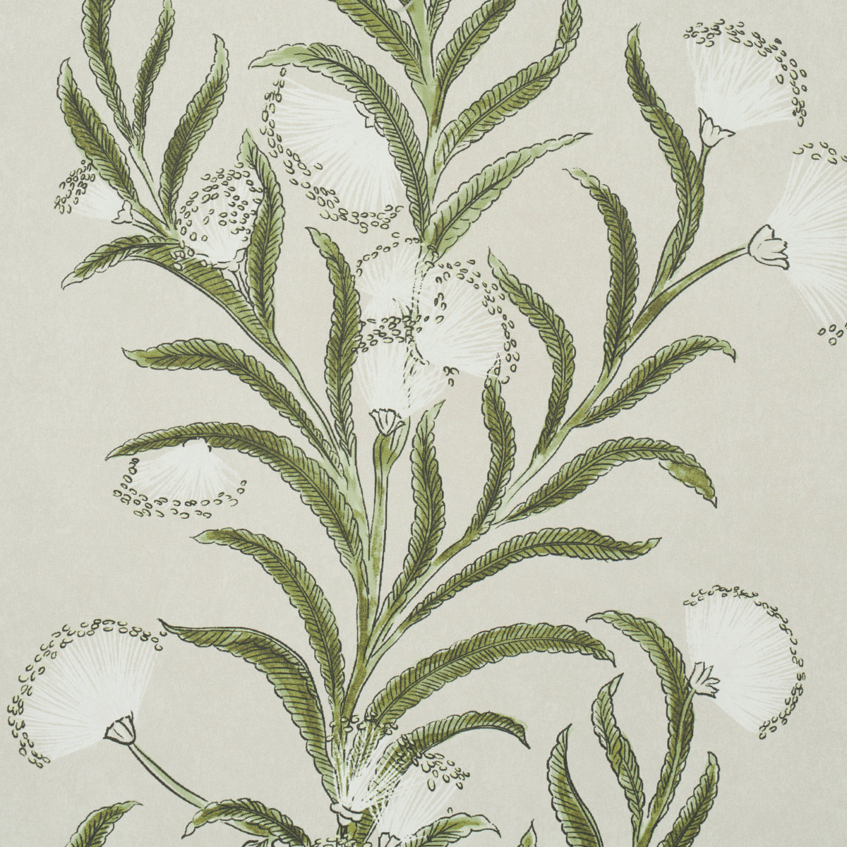 Tasmanian Mimosa Ivory & Green by Schumacher Botanical Stripe Wallpaper – Celerie Kemble 5015362