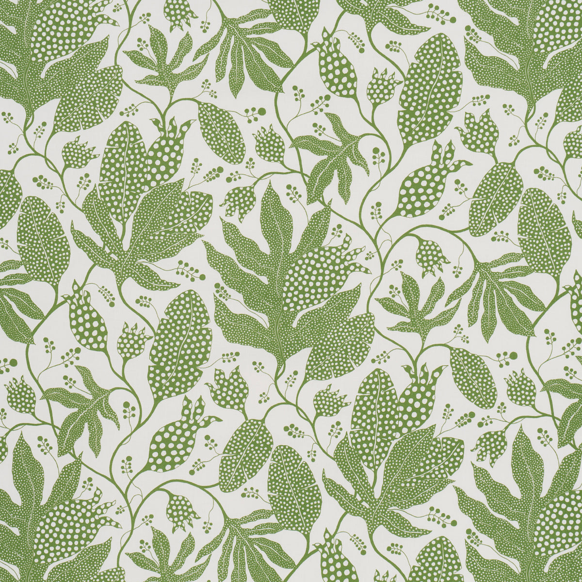 Polka Dot Jungle wallpaper in green and ivory by Marian McEvoy for Schumacher, featuring a large-scale botanical pattern with polka dots.