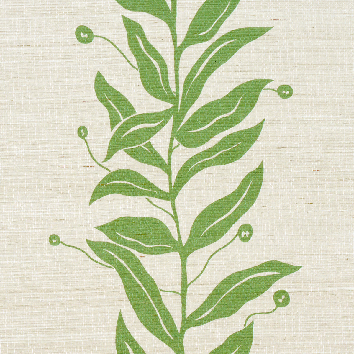 Tendril Stripe Sisal Olive by Marian McEvoy Botanical Stripe Wallpaper – Schumacher 5015560