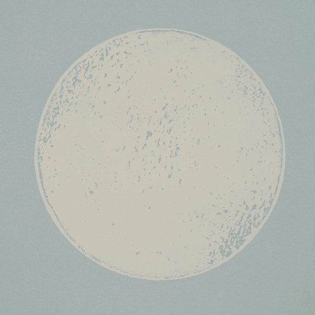 Monte Carlo Soft Blue by Backdrop Large-Scale Polka Dot Wallpaper – Schumacher 5015592