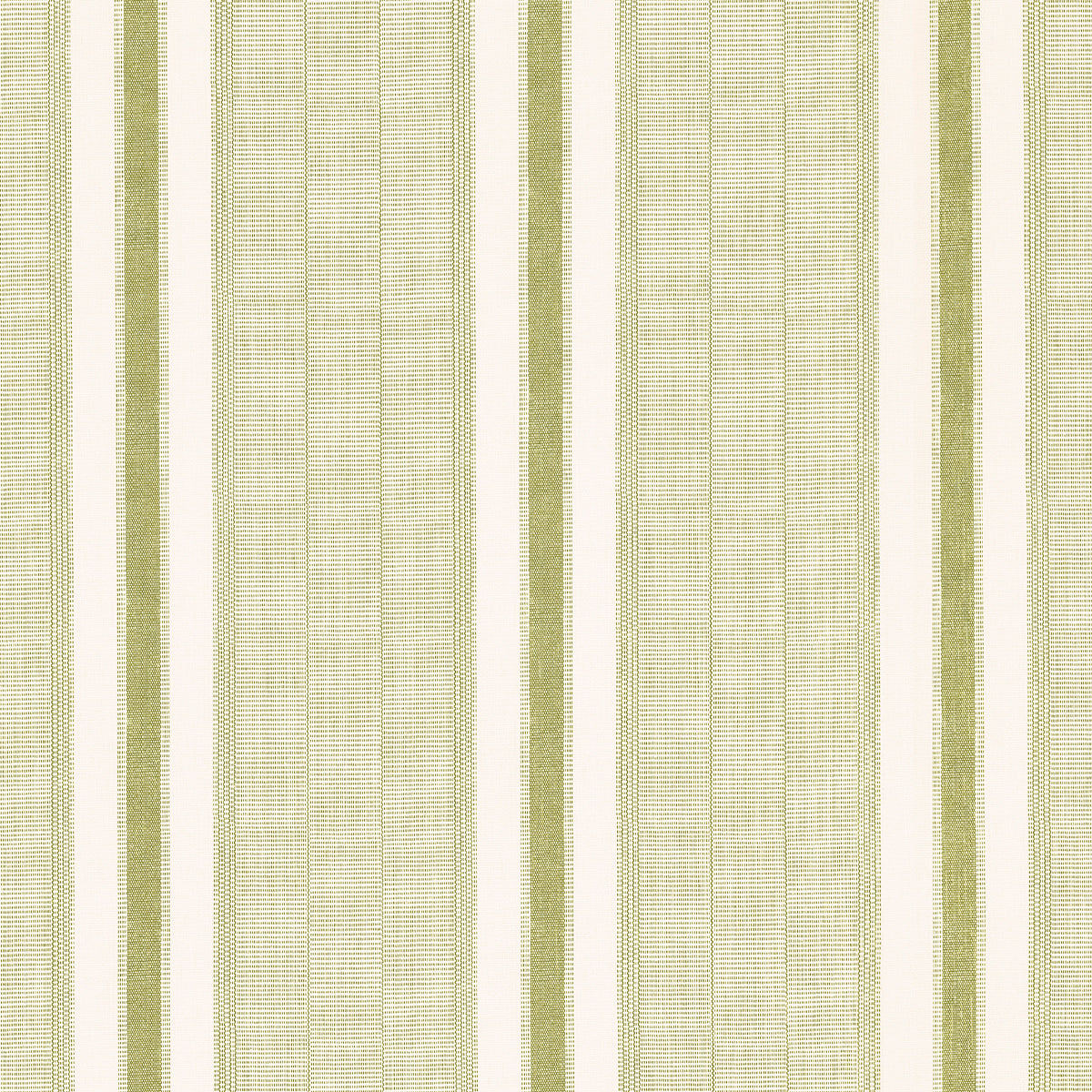 Ipala Stripe Vinyl wallpaper in Fern by Schumacher, a high-performance, medium-scale multi-width stripe wallcovering designed in collaboration with A Rum Fellow.
