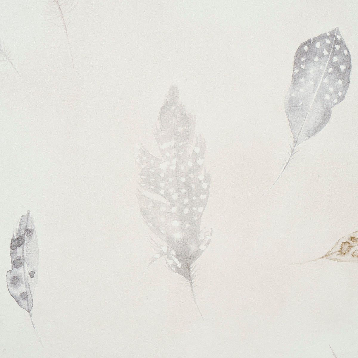 Woodland Feathers Pebble by Schumacher Elegant Hand-Painted Feather Wallpaper – Schumacher 5016060