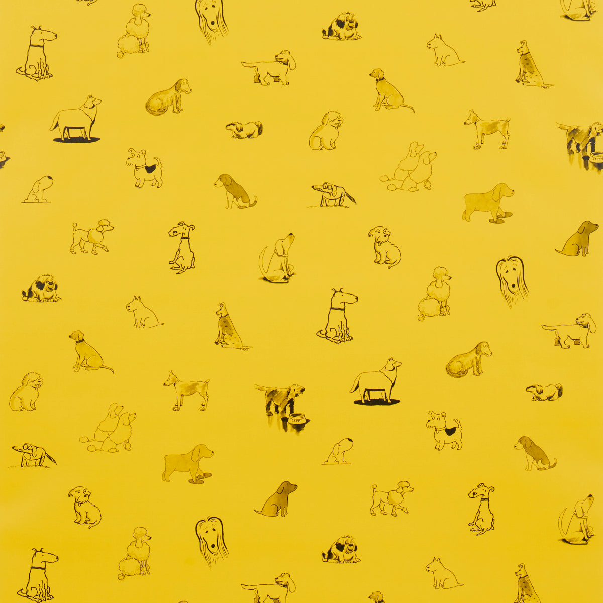 Good Dogs Everywhere wallpaper in Taxi-Cab Yellow featuring playful dog illustrations from The New Yorker collection by Schumacher
