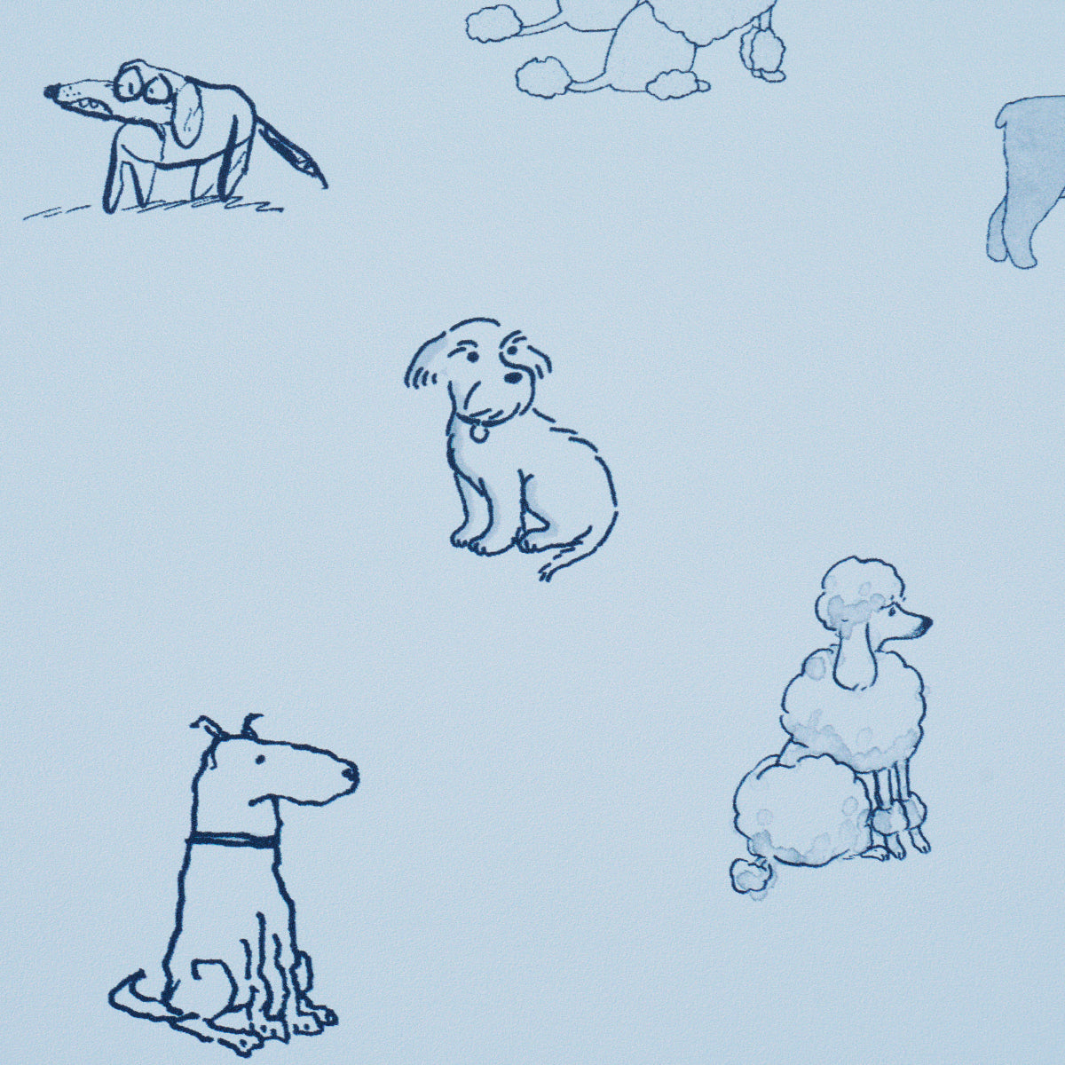 Good Dogs Everywhere Sky & Navy Blue by Schumacher The New Yorker Collection Wallpaper – Schumacher 5016132