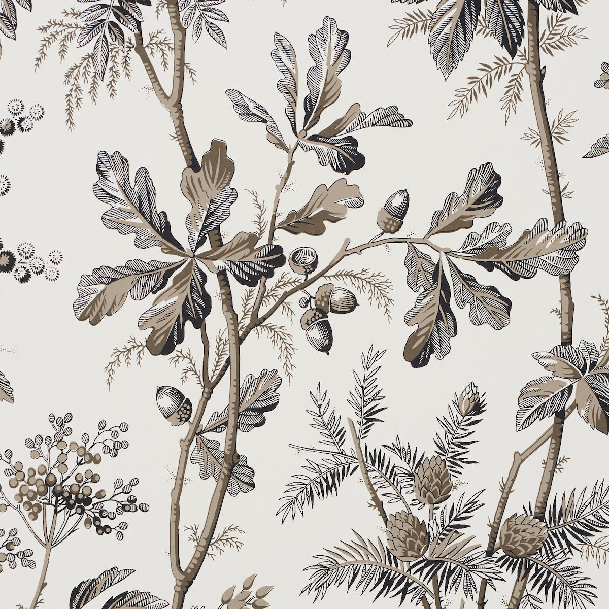 Brantwood Vine Graphite by Schumacher Botanical Wallpaper – Schumacher 5016352