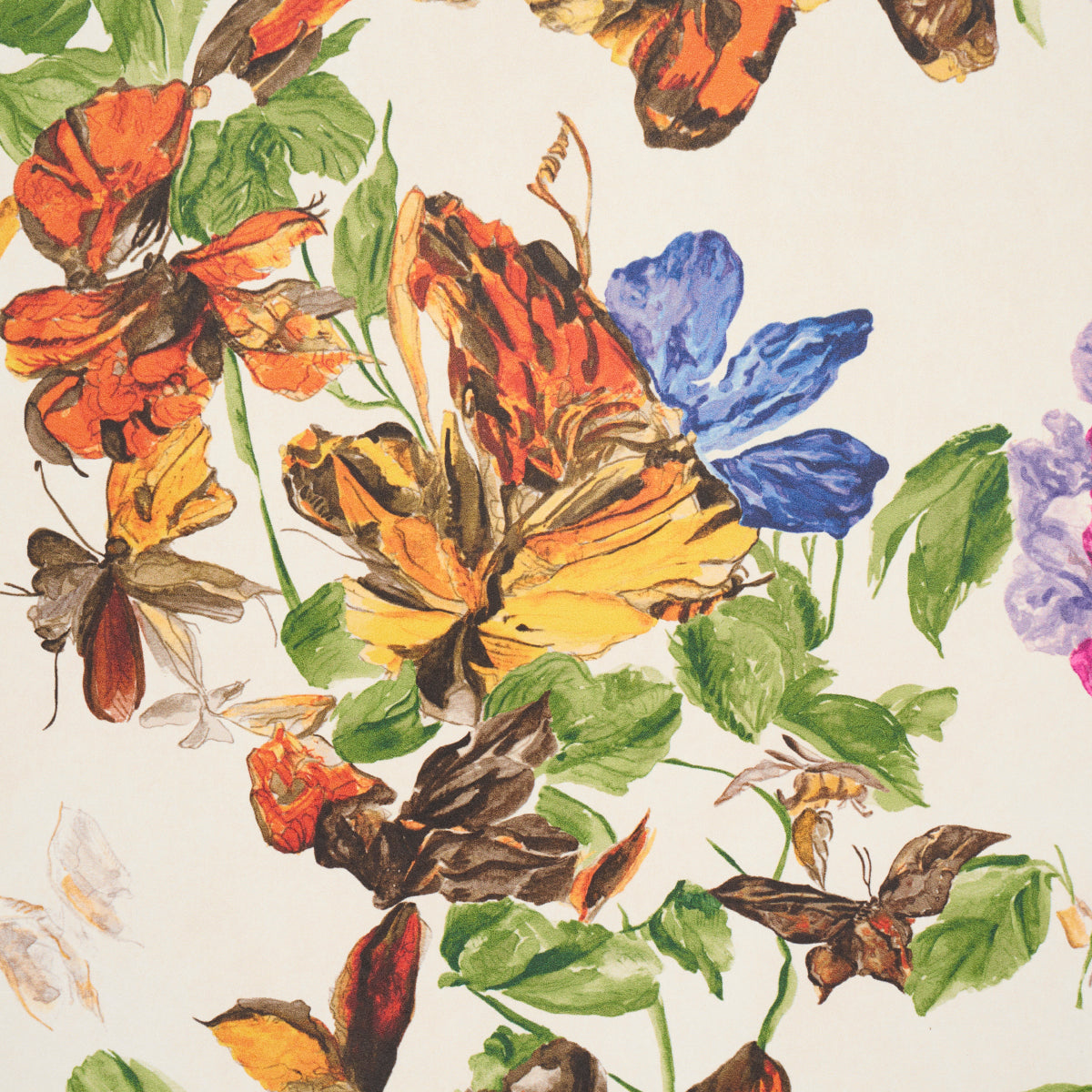 Pyne Butterfly Monarch Orange by Schumacher Botanical Butterfly Wallpaper – Schumacher 5016380